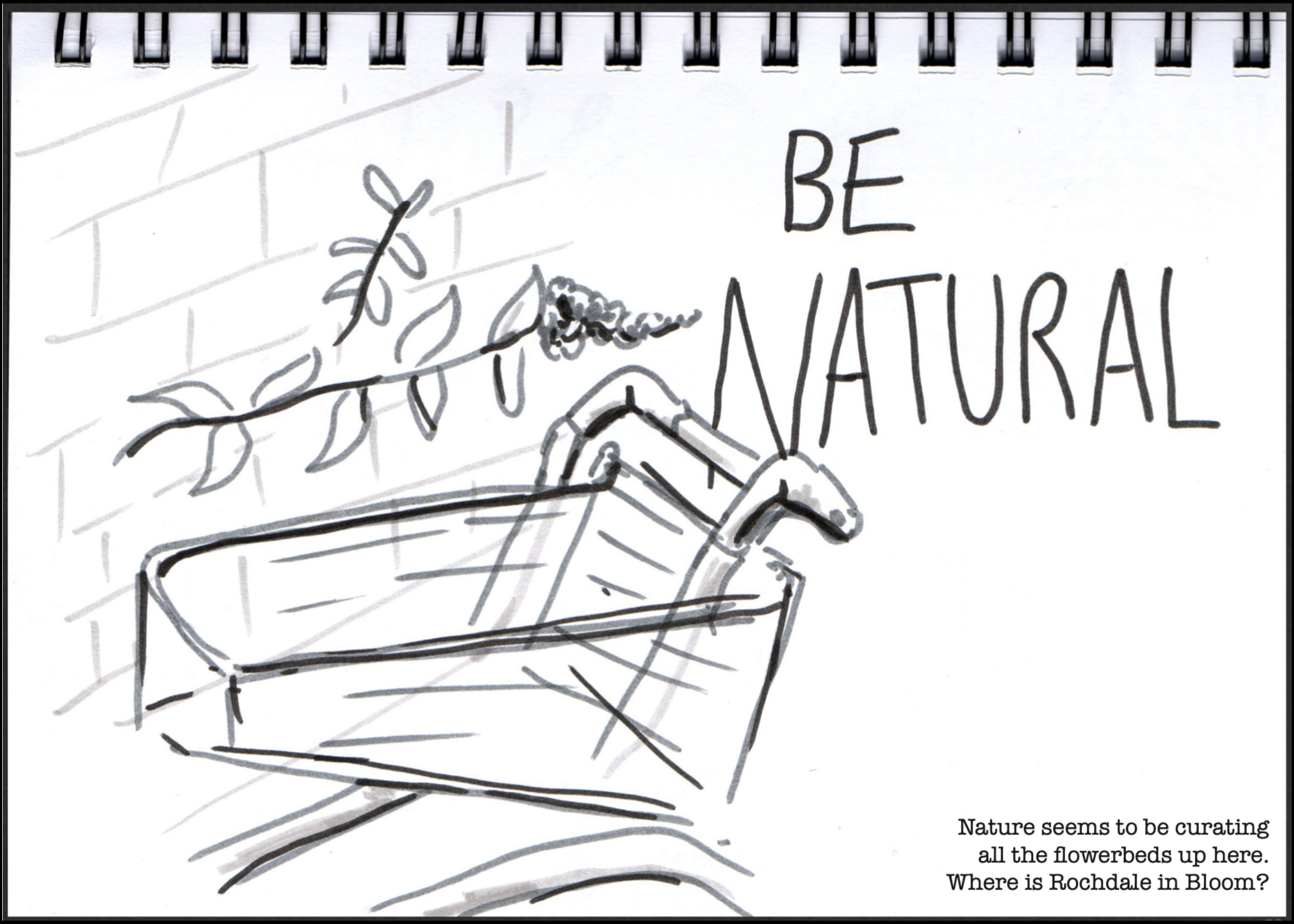 A black and white drawing from Doodlher's urban roam sketch walk. The drawing shows a shopping trolley next to a brick wall with trees and leaves growing from it, alongside the text "be natural".