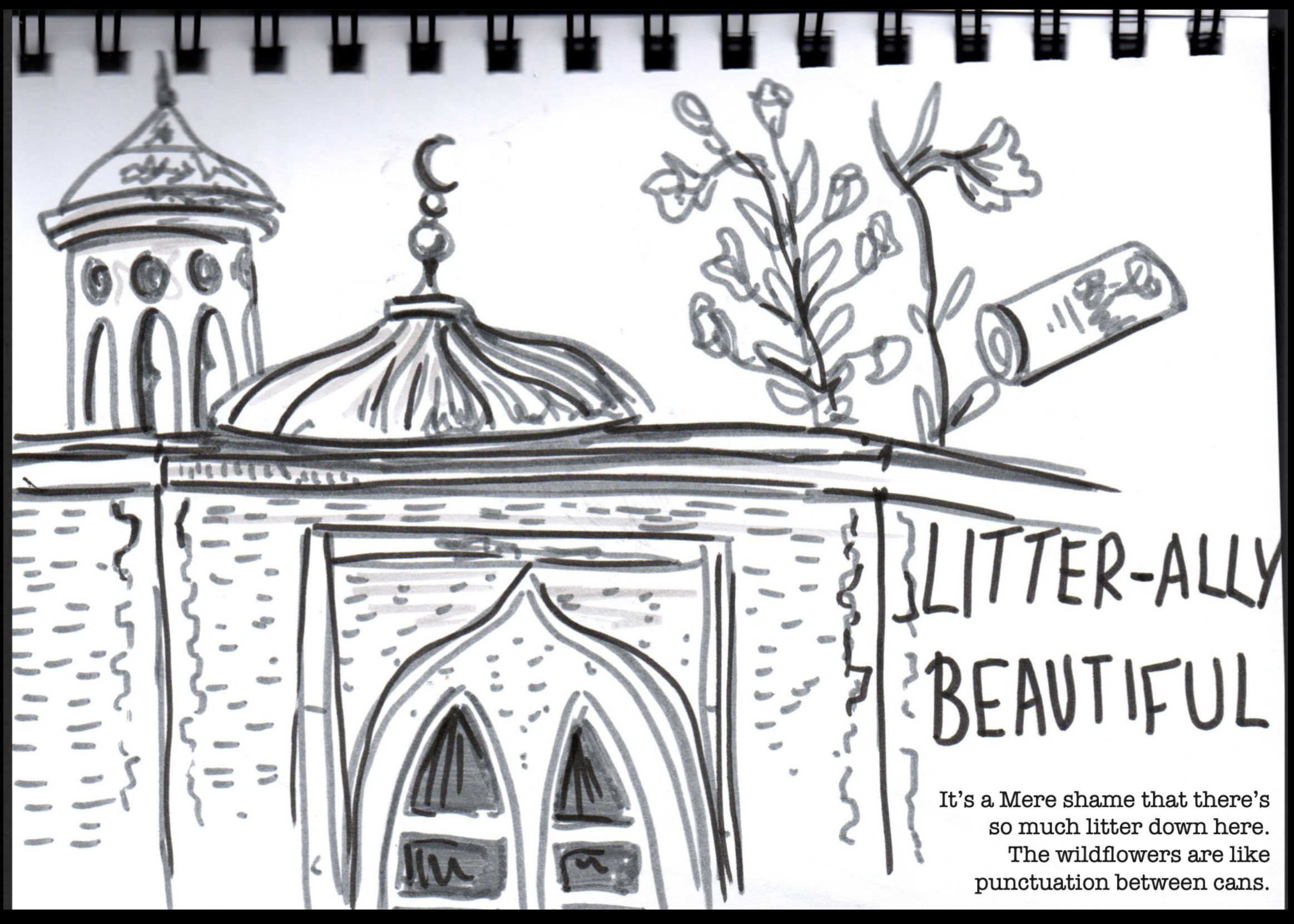 A black and white drawing from Doodlher's urbam roam sketch walk. The illustration shows a local building alongside flowers, plants and rubbish. The words read as a pun: "Litter-ally beautiful. It's a Mere shame that there's so much litter down here. The wildflowers are like punctuation between cans."