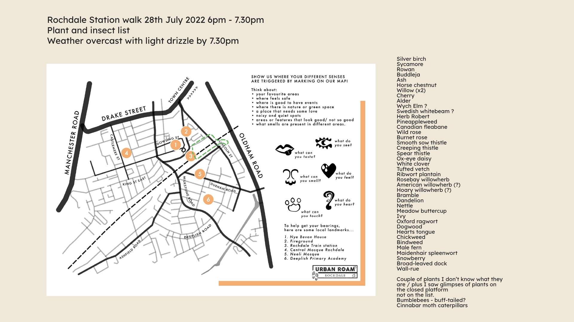 A hand-draw map of the walk around Rochdale Station. To the side of a map is a list of more than 40 different species of flora and fauna that the group recorded on their walk. Including trees like silver birch, sycamore and rowan, and plants like spear thistle, ox-eye daisy and wild rose.