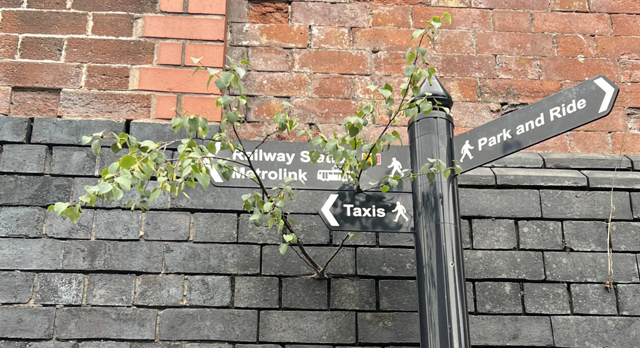 A photograph taken during the Rochdale Nature Roam with Rebecca Chesney. The image shows a street sign pointing left towards Rochdale Station, against a brick wall from which grow branches of a wild plant or tree.